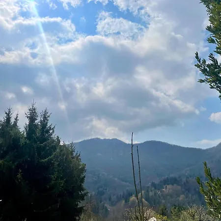 Leo Frühstückspension